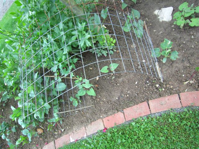 IMG_1680.JPG
