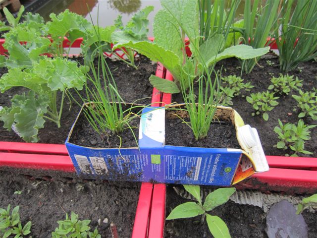 DT Freilichtmuseum 7.JPG