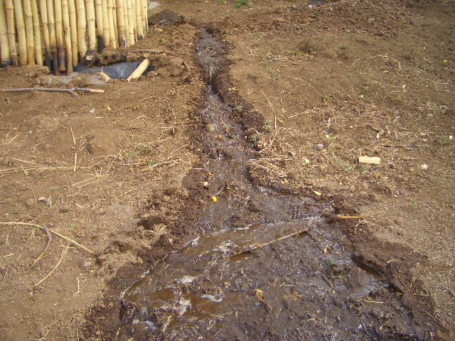 Zulauf von der Straße.........