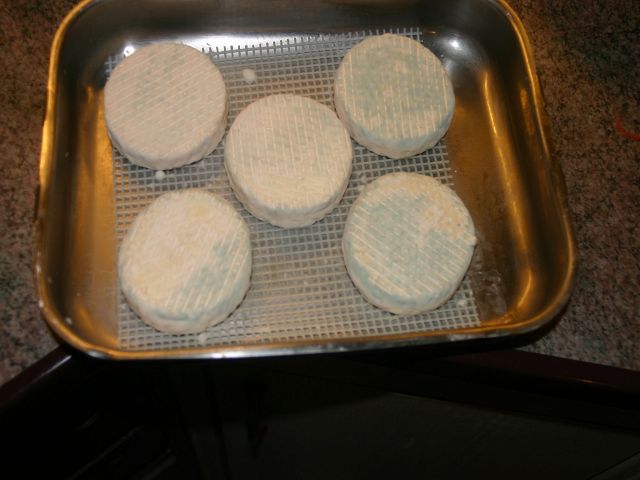 k-camembert_gor.jpg