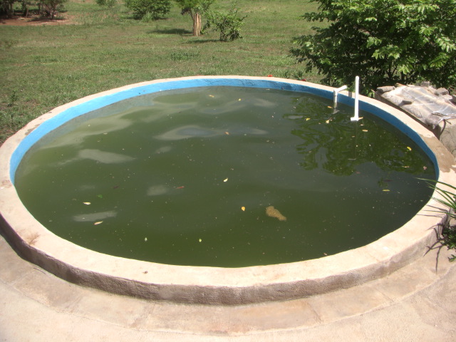 Pool heute