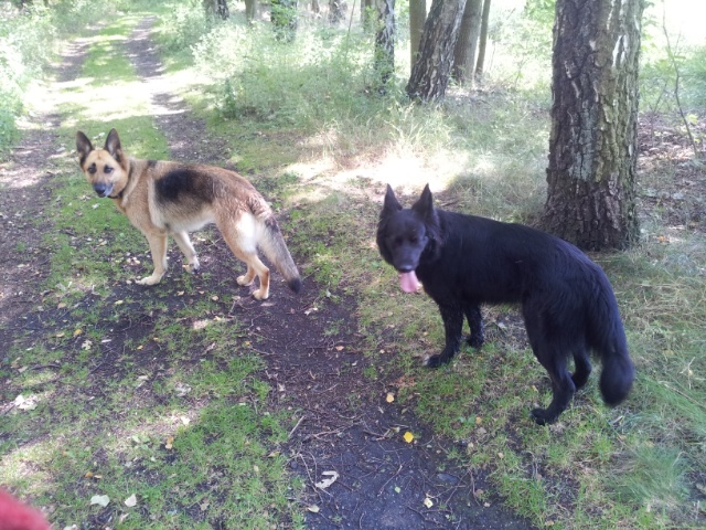 Kira und kira!