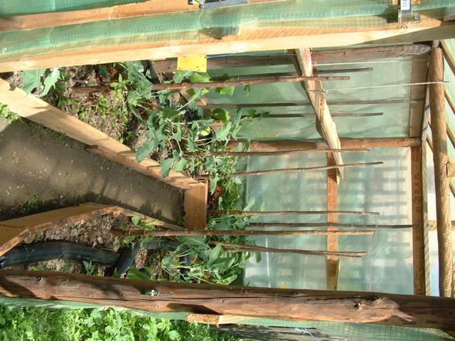 K640_20080529_05.JPG