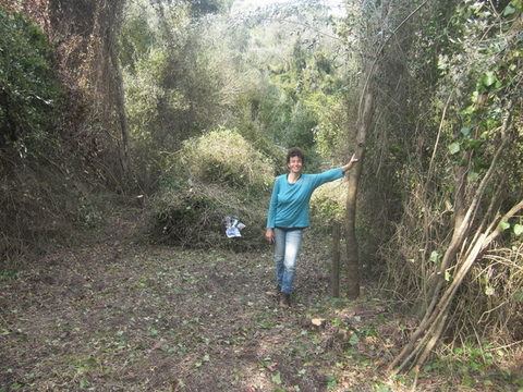 Waldgeist.JPG