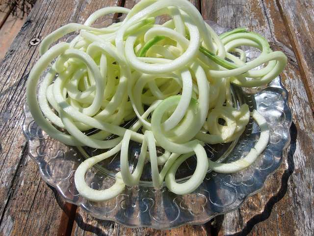 rondini spaghetti.JPG