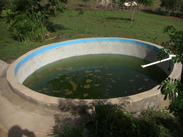 Wasserstand aktuell!