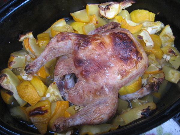 Hähnchen imPatissonbett.JPG