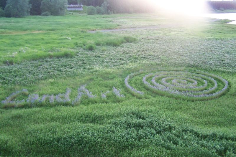 Spirale am Panoramaweg.jpg