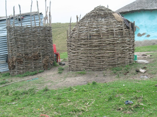 chickenhouse.JPG