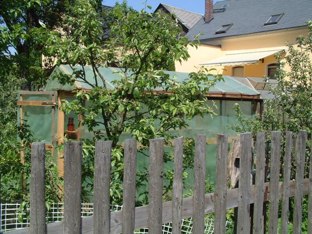 2008: das neu gebaute Gewächshaus nebst ein paar jungen Obstbäumen