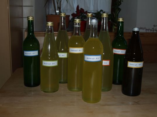 2011-05-25 erster Hollersaft 002 - Kopie.JPG