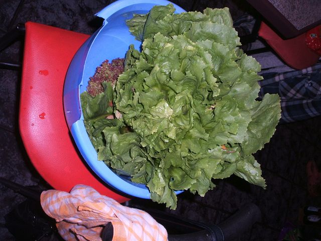 k-salat2.jpg
