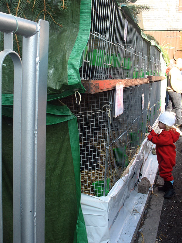 Die Kleintier- und Geflügelausstellung mit ihren mindestens 3,5 x 0,5 Meter Gesamtfläche!