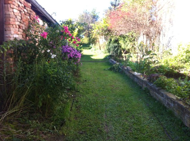 weg vom innenhof hinauf in den garten