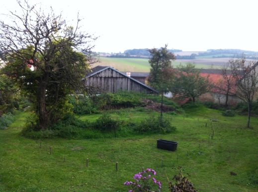 unterer garten