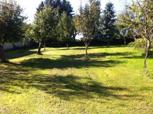 oberer garten