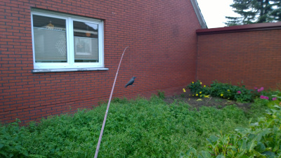 Garten2.jpg
