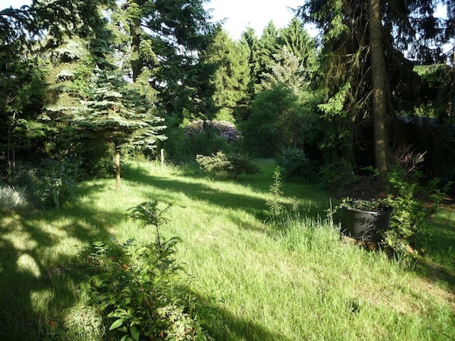 P1030361.JPG