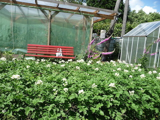 P1040760.JPG