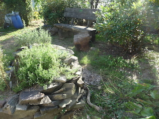 P1040777.JPG