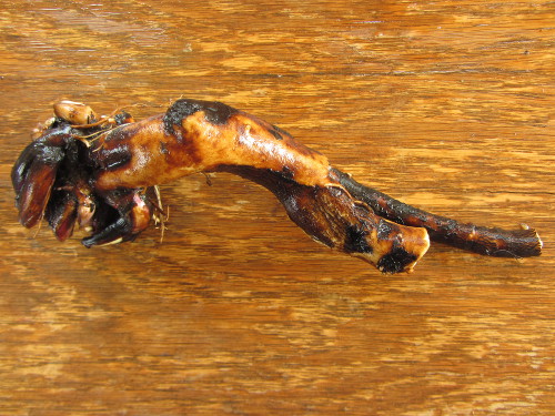 Beinwell-Wurzel.jpg