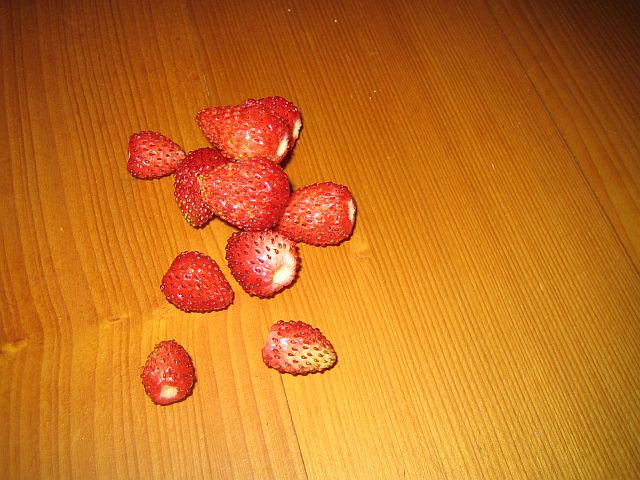 erdbeeren.jpg