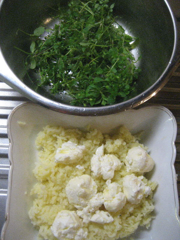 Zutaten Kartoffelauf.JPG