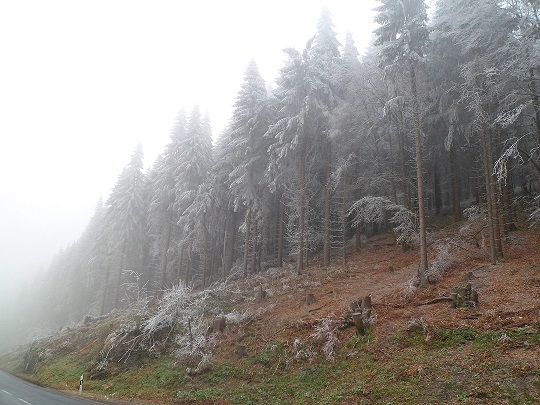 winter2014 008..jpg
