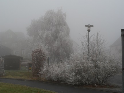 winter2014 004a.jpg