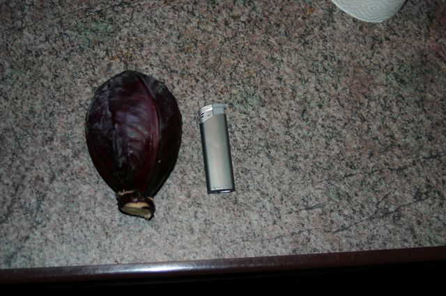 k-rotkohl.jpg