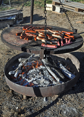 Wagenradgril.JPG