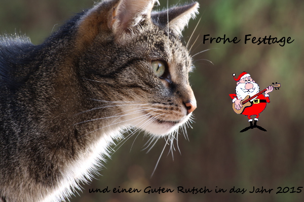 Frohe_Weihnachten.jpg