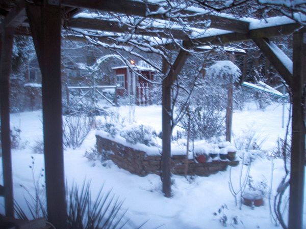 k-schnee.jpg
