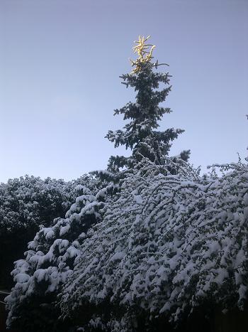 29.12.2014_1.JPG