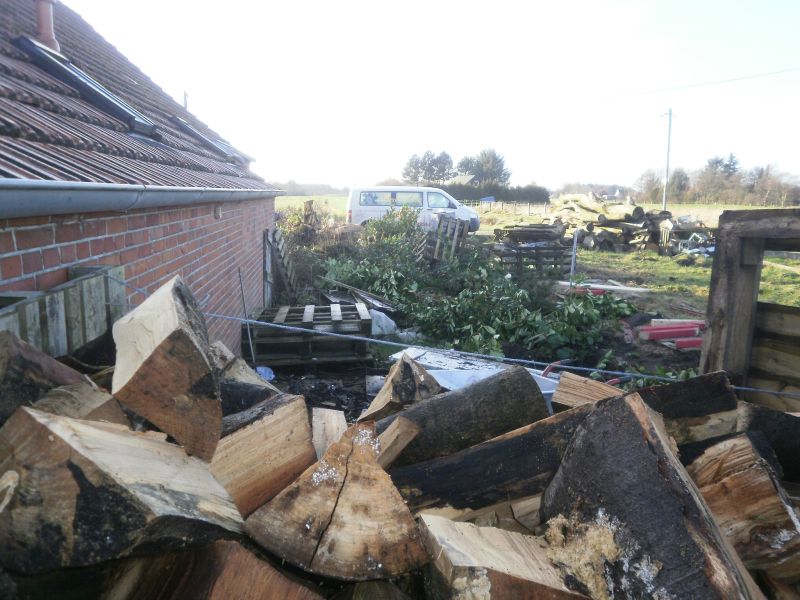 Holz 2018.jpg
