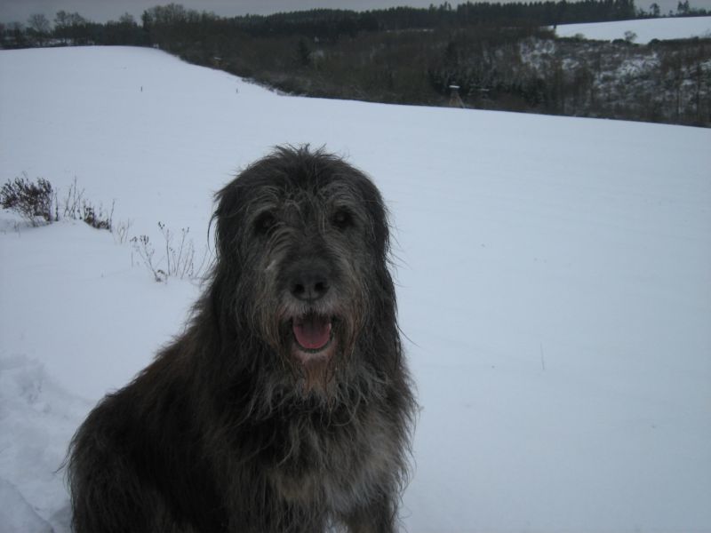 Winter2015 002.jpg