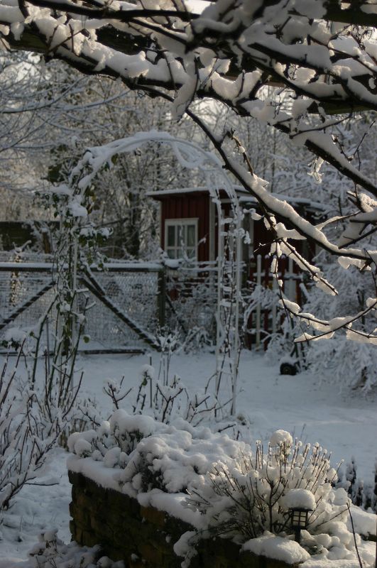 k-schnee1.jpg