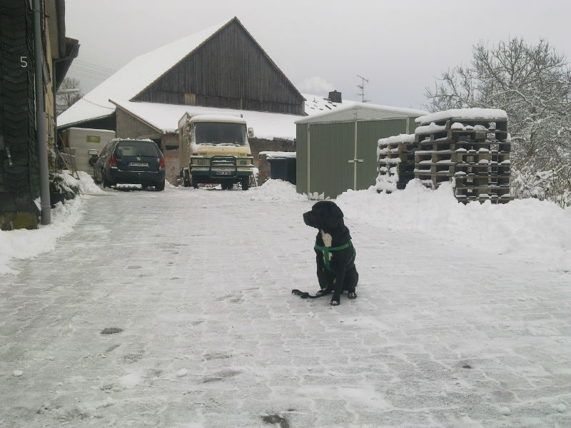 2 schnee 800.jpg