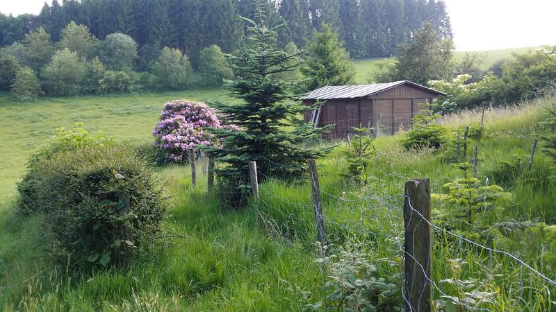 Garten (1).jpg