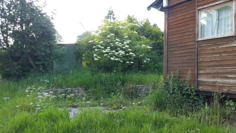 Garten (9).jpg