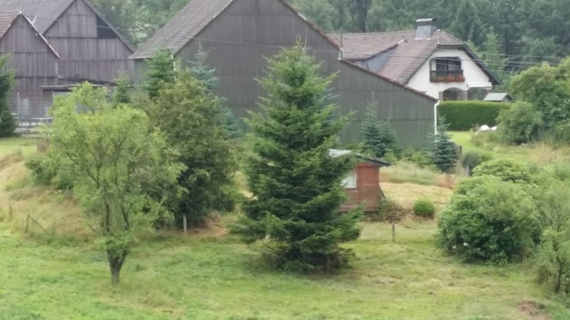 Garten (17).jpg