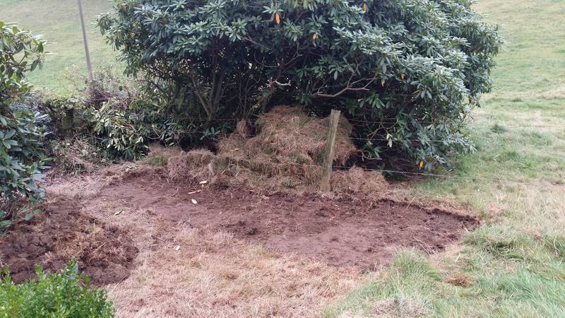 Garten (52).jpg