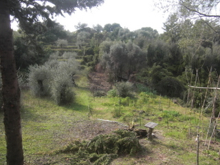 Ausblick bis nach hinten.JPG