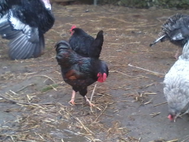 2015-03-10 07.10.23.jpg