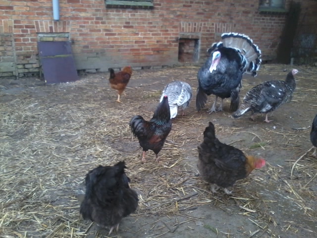 2015-03-10 07.10.04.jpg