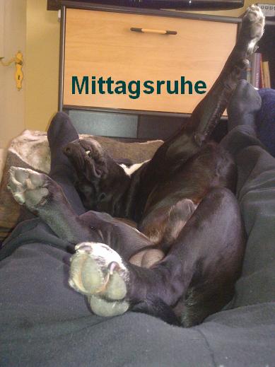 mittagsruhe.JPG