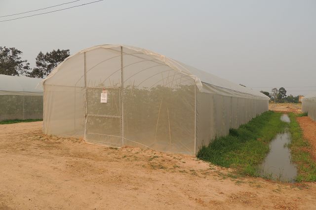 k-DSCN5571.JPG
