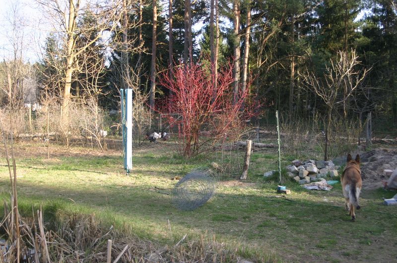 k-hühnerauslauf.jpg