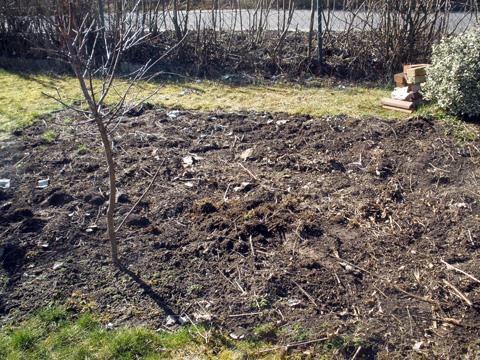 beet-nachher.JPG