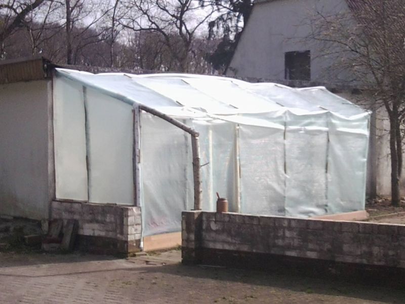gewaechshaus.jpg